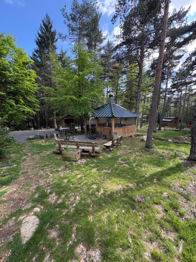 une cabine dans les bois avec une table de pique-nique dans l'établissement Chalet Hibou 1 couchage en 140 Domaine de la Mamounette, à Champclause
