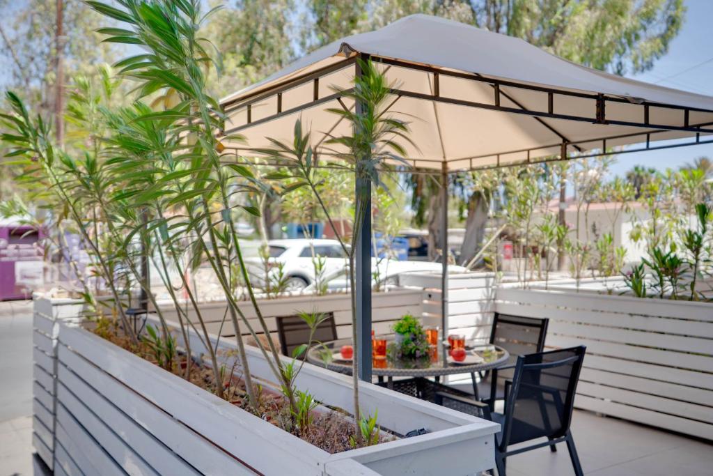Atlantis Apartments 50m from Makenzy seafront 4