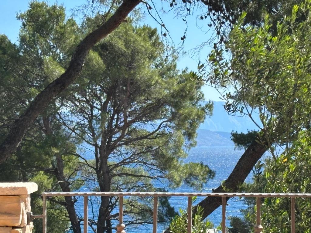 Vila Familia Hvar 6