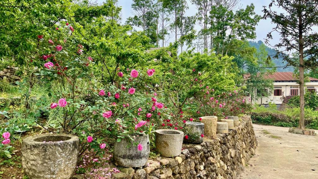 An Nhiên House Bắc Hà