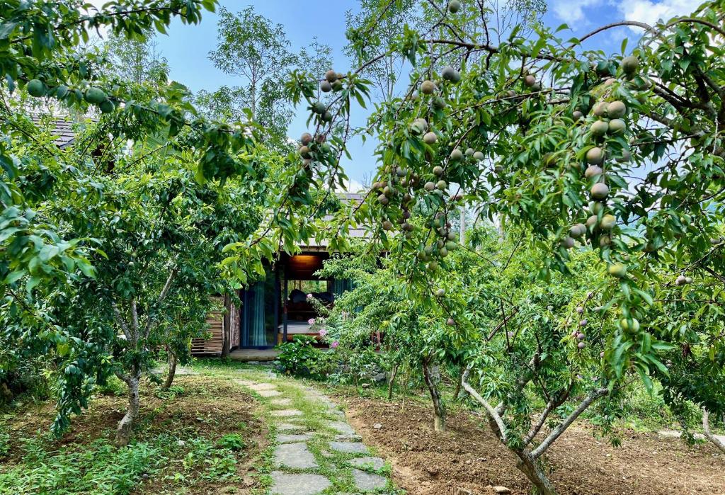 An Nhiên House Bắc Hà