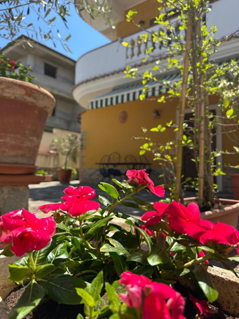 Residenza Eolo 8