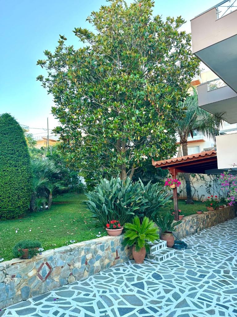 luxury house airport 6