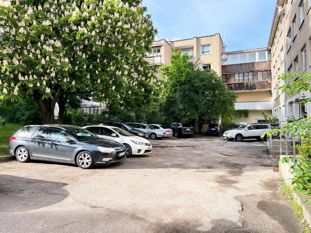 Cozy Vilnius Stay 6