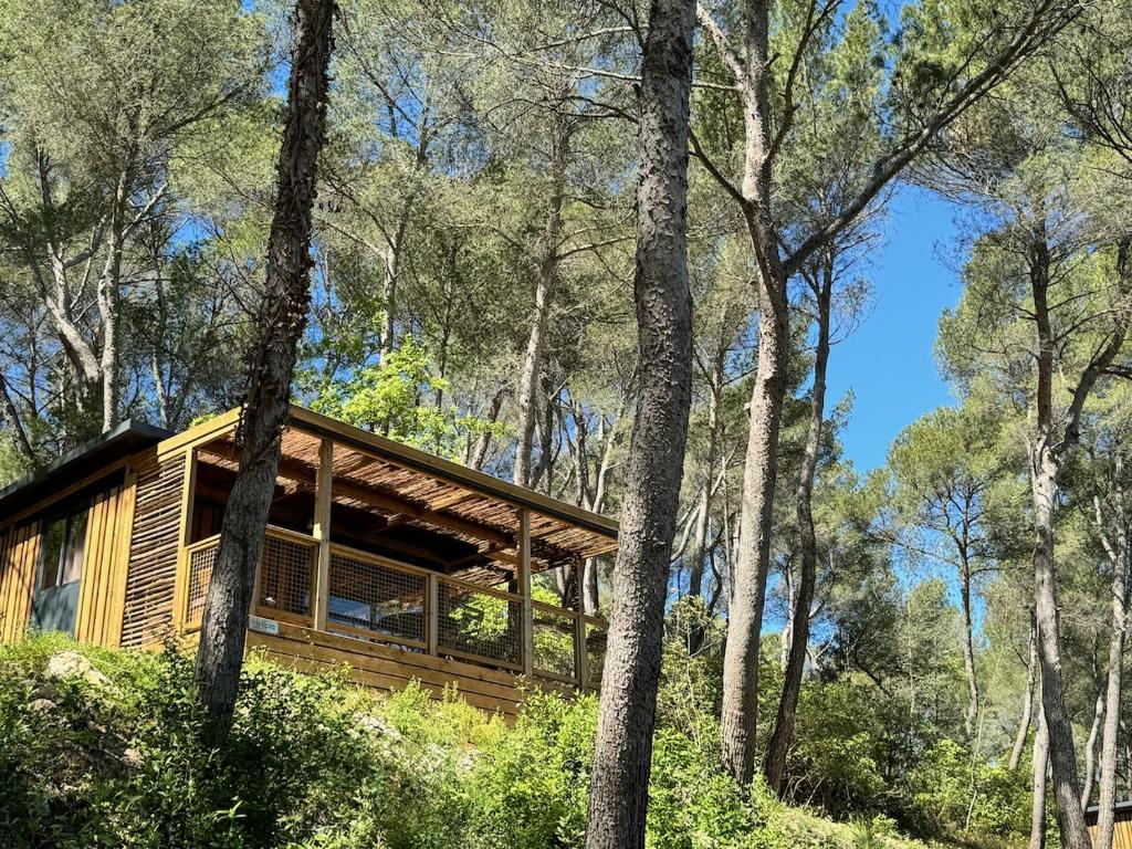 une cabane en rondins entourée d'arbres dans l'établissement Citykamp d'Aix-en-Provence, à Aix-en-Provence