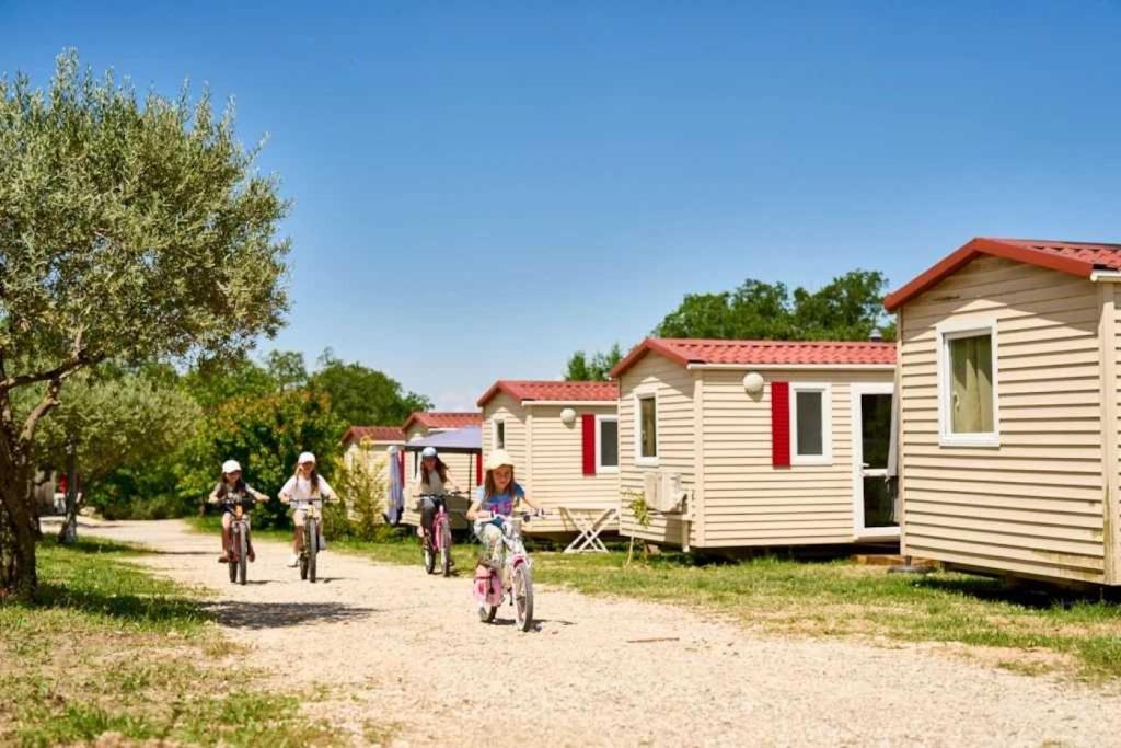 - un groupe de personnes à vélo sur un chemin de terre dans l'établissement Camping 3 étoiles - Piscine - efaeh0, à Malemort-du-Comtat