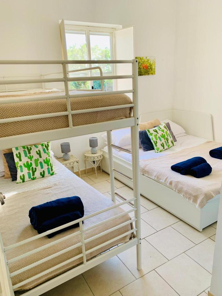 une chambre avec deux lits superposés et une fenêtre dans l'établissement Villa Bona Dea, à San Michele Salentino 33 autres photos