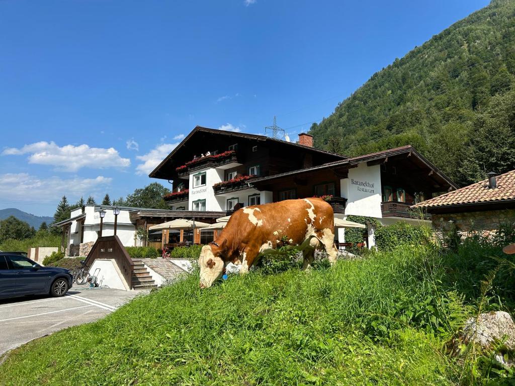 Pension Baranekhof - closest to the Kitzsteinhorn Ski Resort