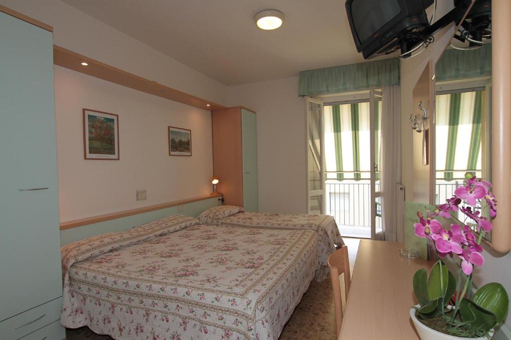 une chambre avec un lit, une télévision et une fenêtre dans l'établissement Hotel Vera, à Marina di Massa