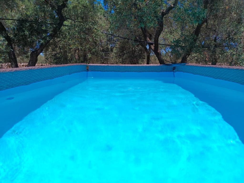 un bassin d'eau bleue avec des arbres en arrière-plan dans l'établissement Casale Eucalipto, à Faccia di Trippa