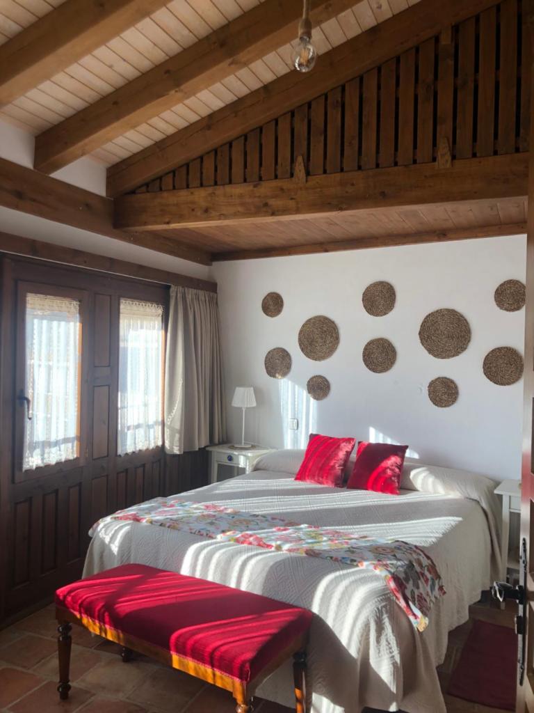 La Casa del Coso 2