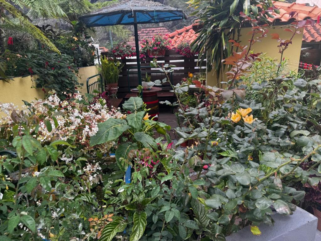 Terra Chã Cottage,FEEL Home, 7