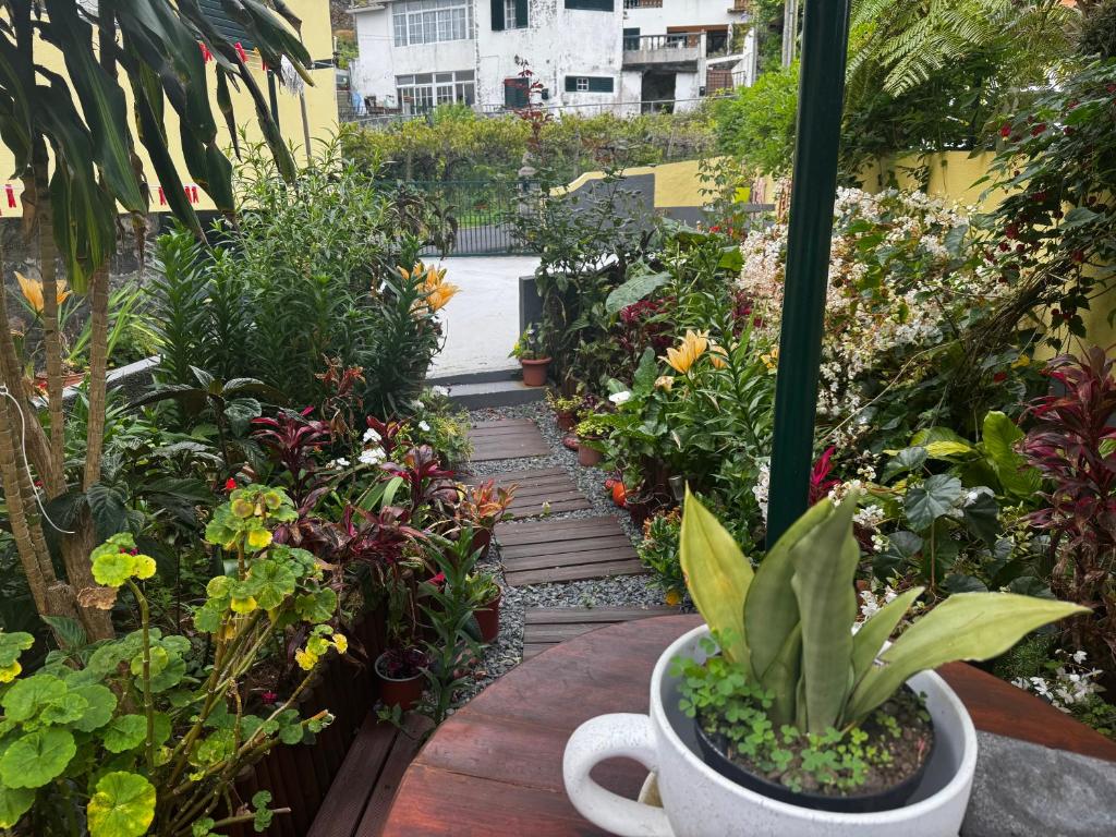 Terra Chã Cottage,FEEL Home, 6