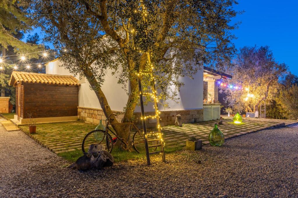 un arbre avec des lumières devant une maison dans l'établissement Villa Galatea, à Galatone 31 autres photos