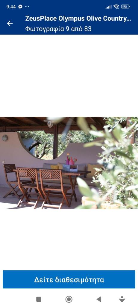 Zeusplace Olympus Olive Country House 1 ground floor 8