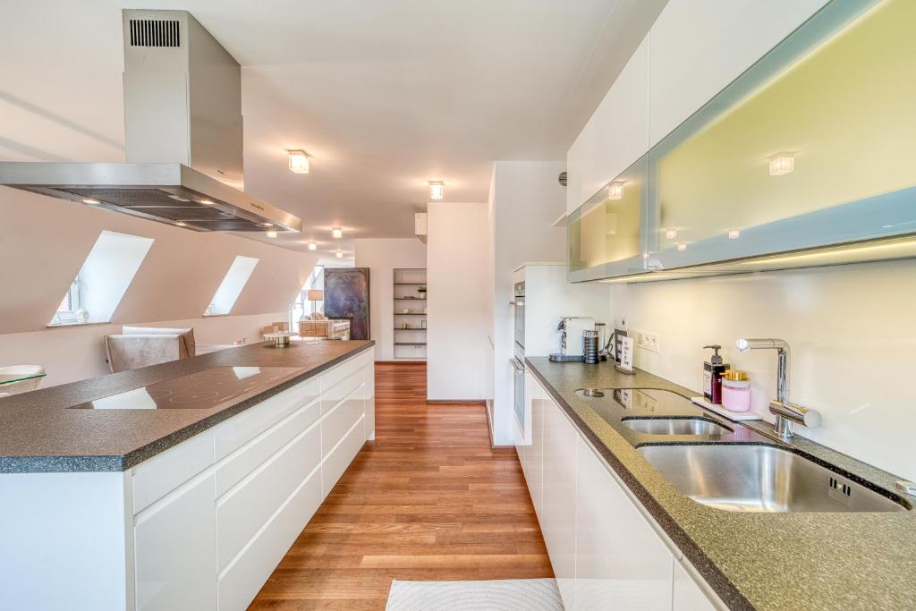 Luxury Penthouse in the center 3