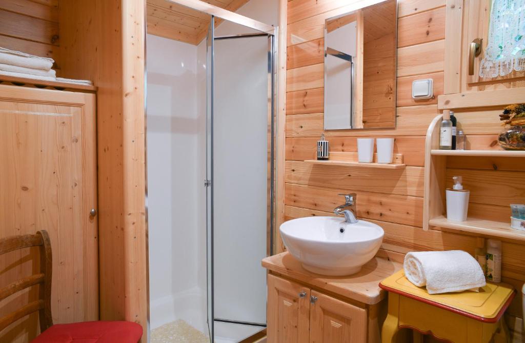 une salle de bain avec douche et lavabo dans l'établissement Roulotte de bohême - Praline, à Truison