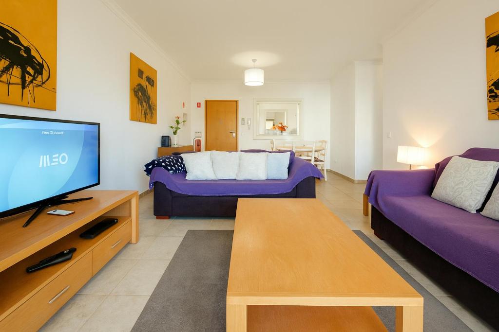 Spacious Apartment with Huge Terrace and Swimming Pool 5