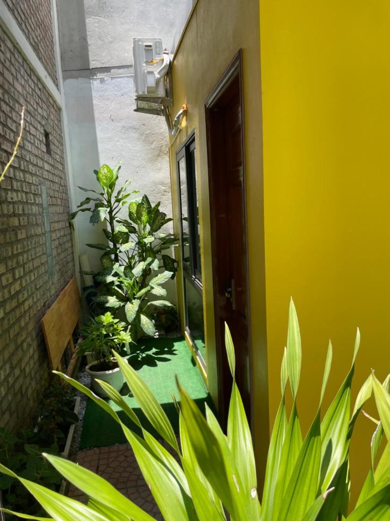 Ốc Garden Homestay Cát Bà
