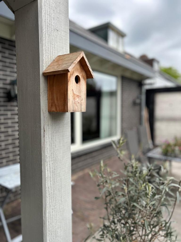 De Korenbloem 6