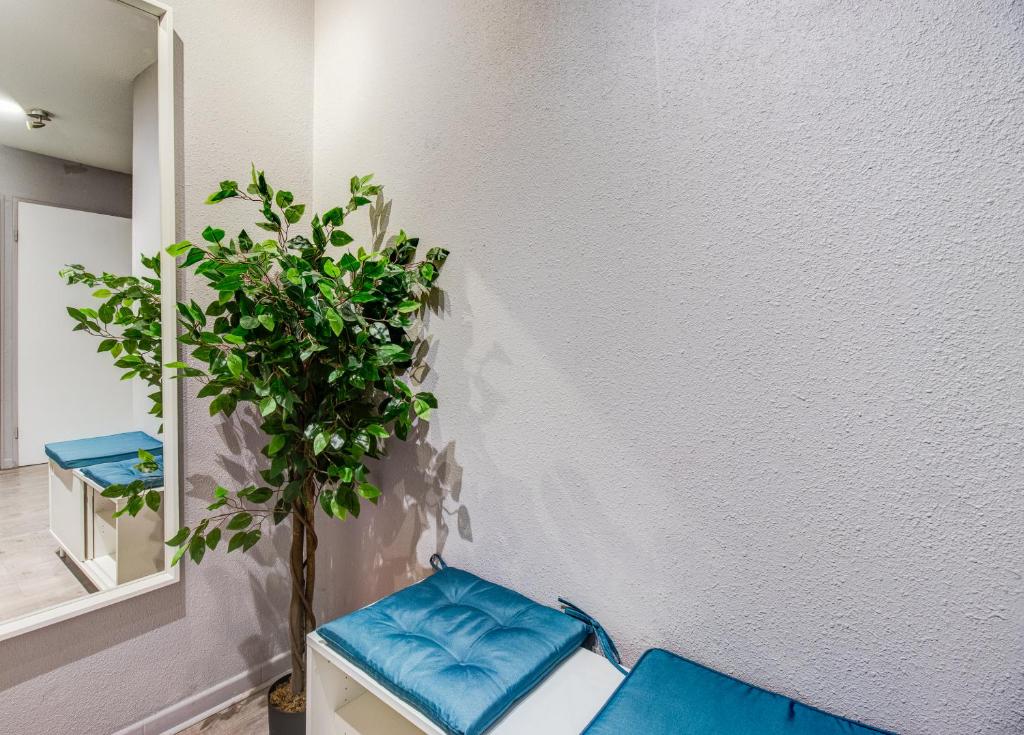 Le Rêve Bleu - 2 chambres avec balcon & parking gratuit 8