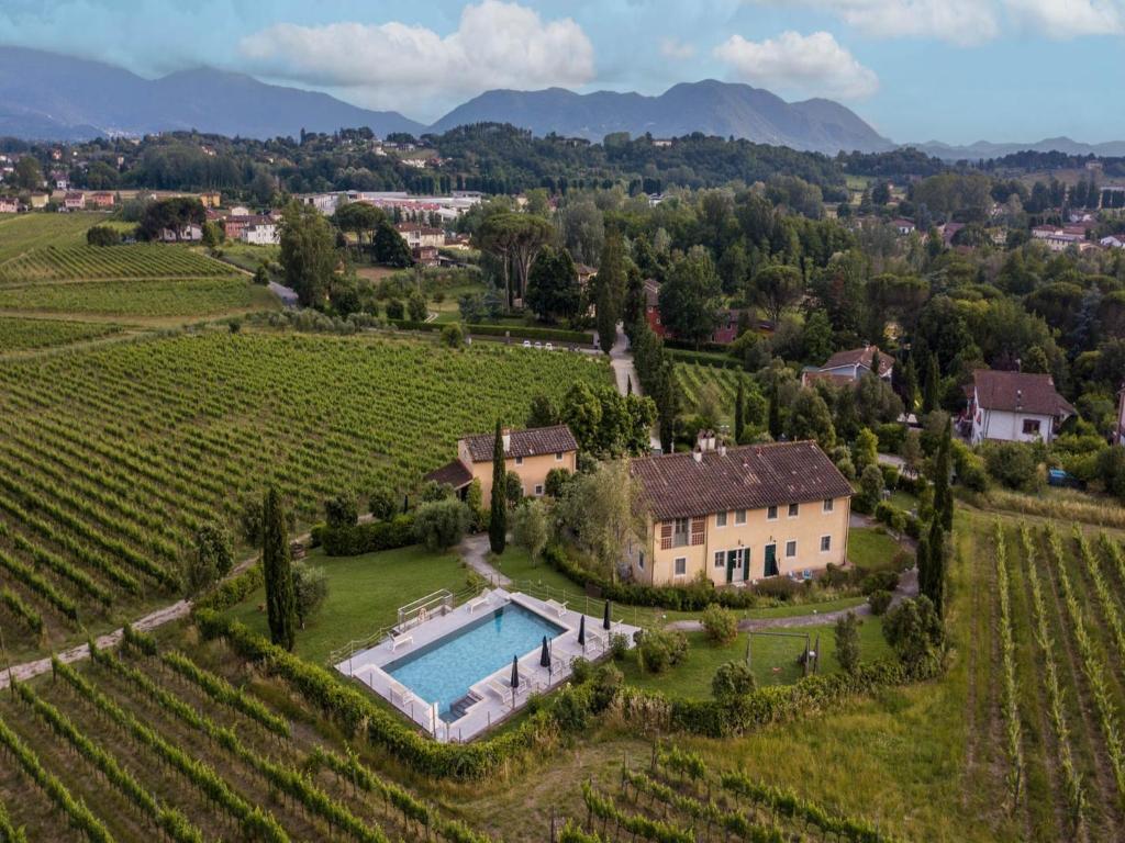 une vue aérienne d'une villa dans un vignoble avec piscine dans l'établissement Villa in Monte San Quirico with Private Garden, à Cappella