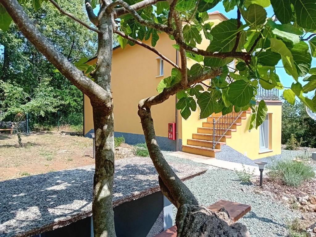 Le Rocce Wellness and Fitness, only adults 5