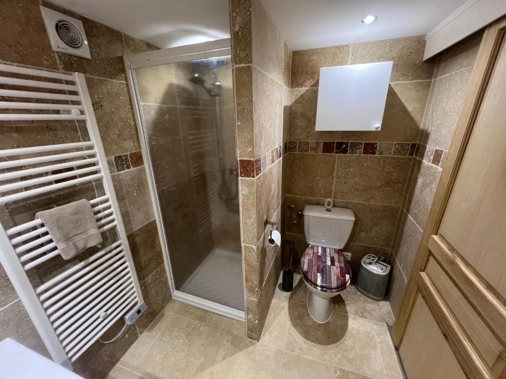 une salle de bain avec douche et toilettes dans l'établissement Le Relais des Chevaliers " Le Four à Pains ", à Cordes-sur-Ciel