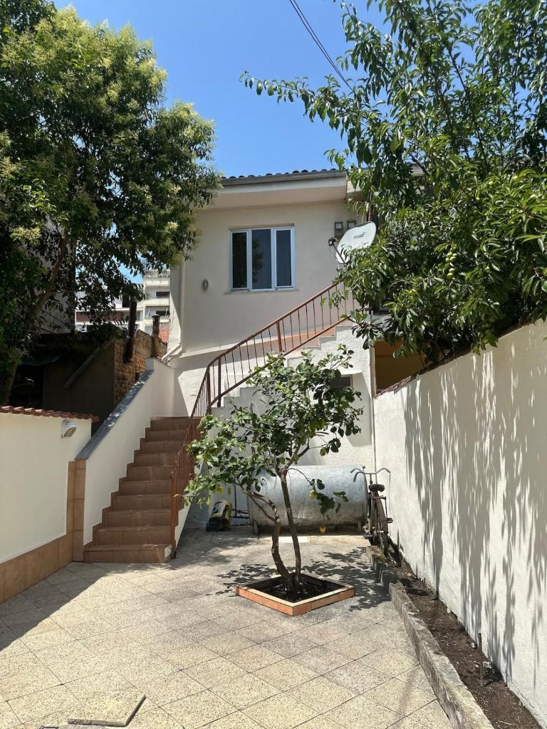 Villa Tirana 6