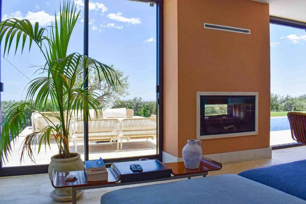 un salon avec une plante en pot et une cheminée dans l'établissement Redimeti Country House, à Avola