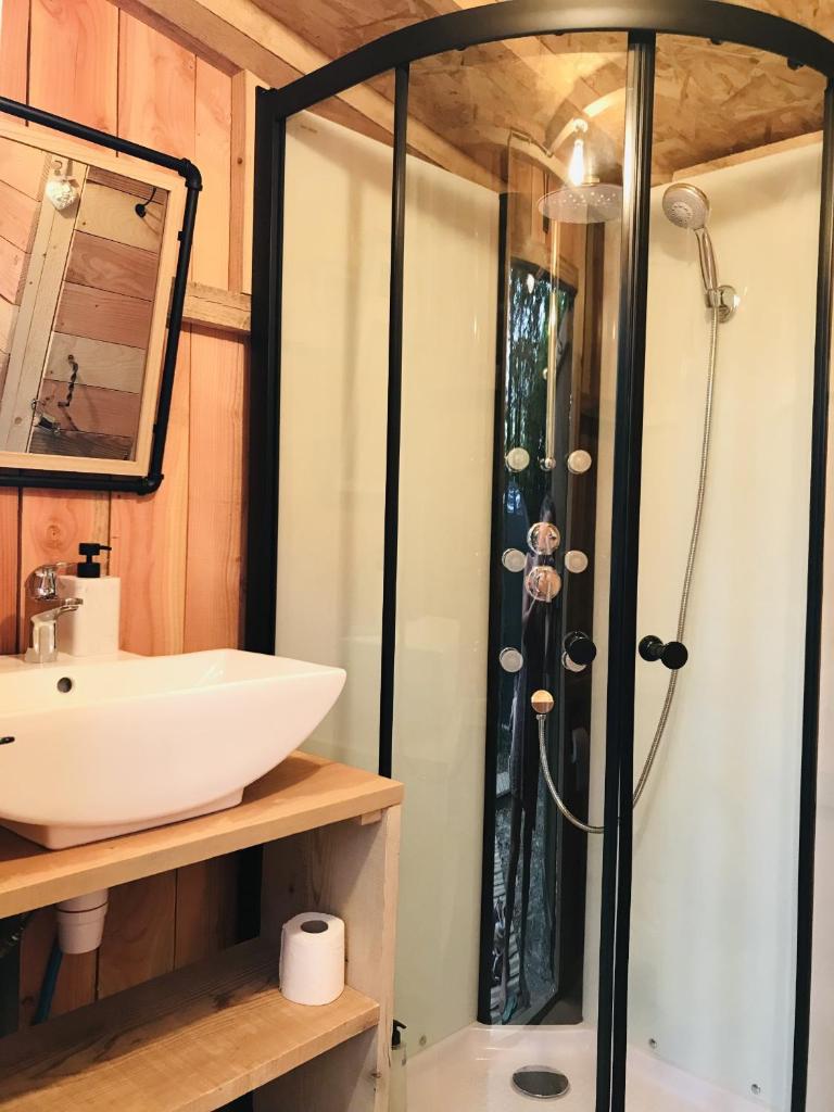 une salle de bain avec un lavabo et une douche dans l'établissement Ô cocon del Lauragués, à Ricaud