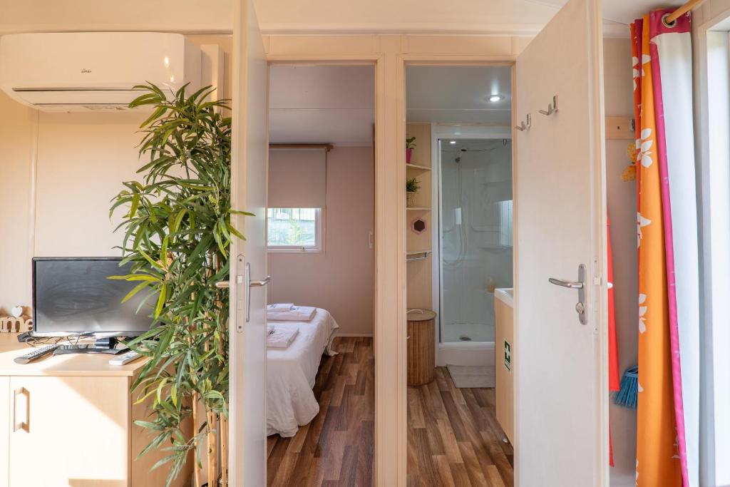 Glamping Frog Farm 6