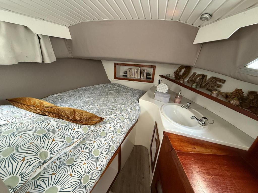 une petite chambre avec un lit et un lavabo dans l'établissement Charmant bateau sur la Marne, à La Ferté-sous-Jouarre