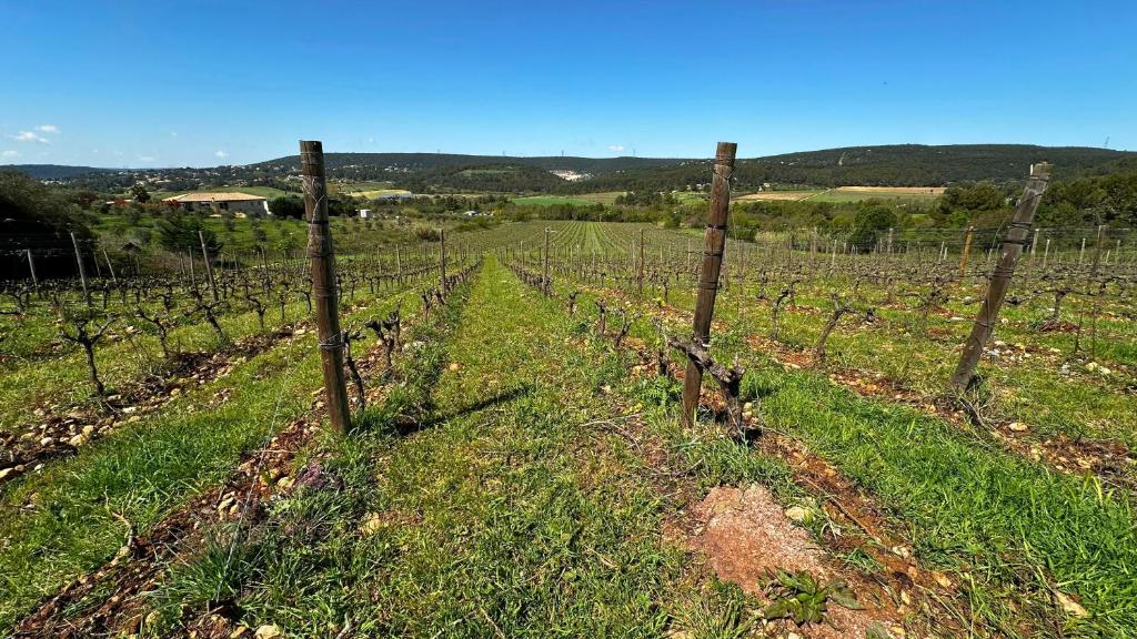 Le Gîte Grenache 3