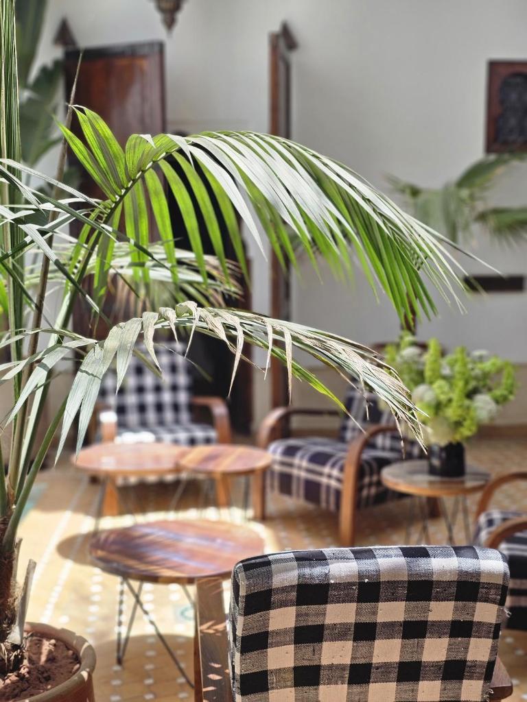 un salon avec des chaises, des tables et des plantes dans l'établissement Riad Clefs d'Orient, à Marrakech 2 autres photos