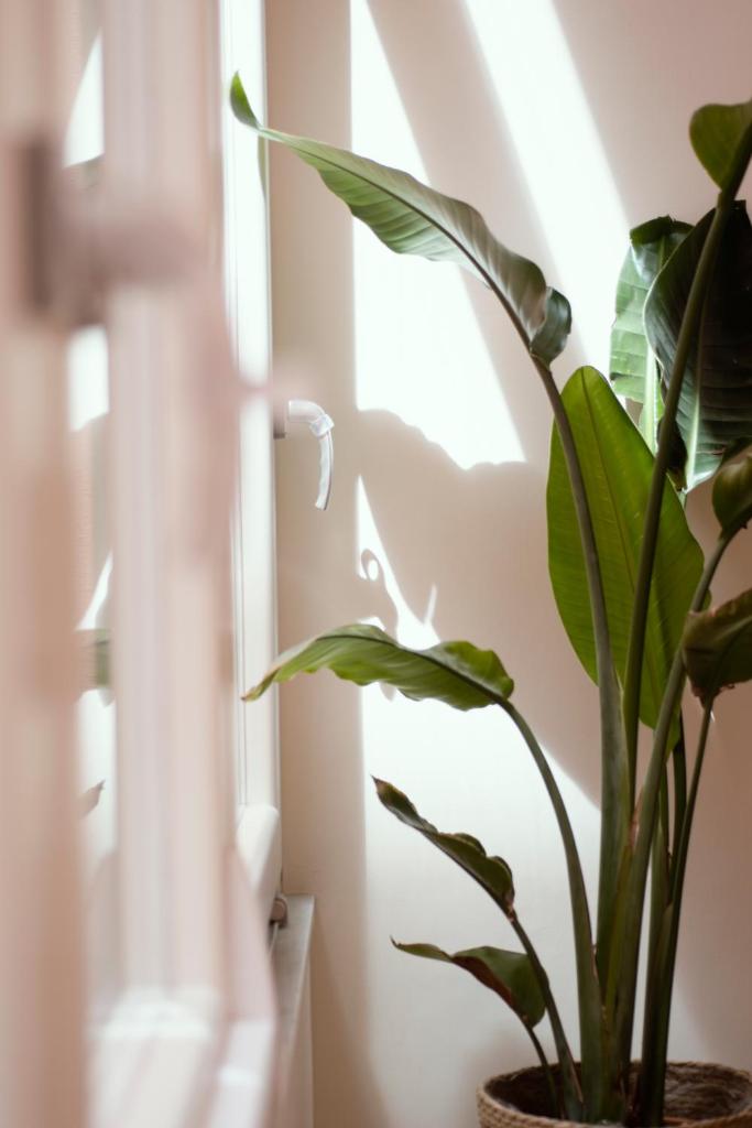 Trame Urbane Apartment 2