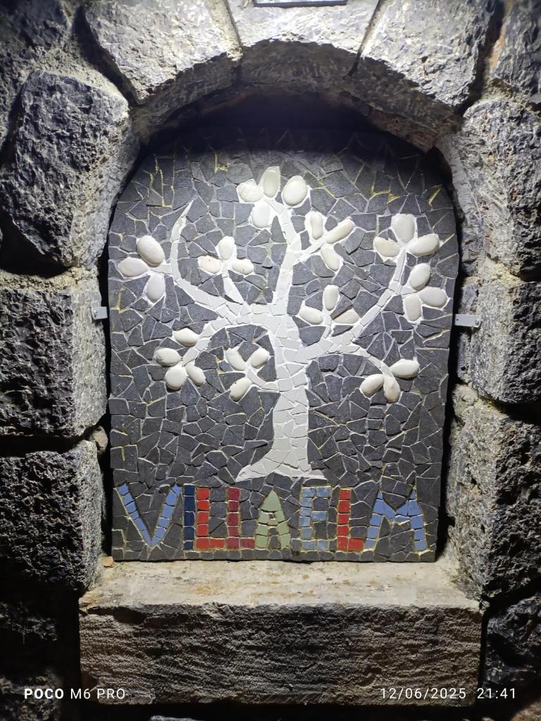 Villa Elm 7