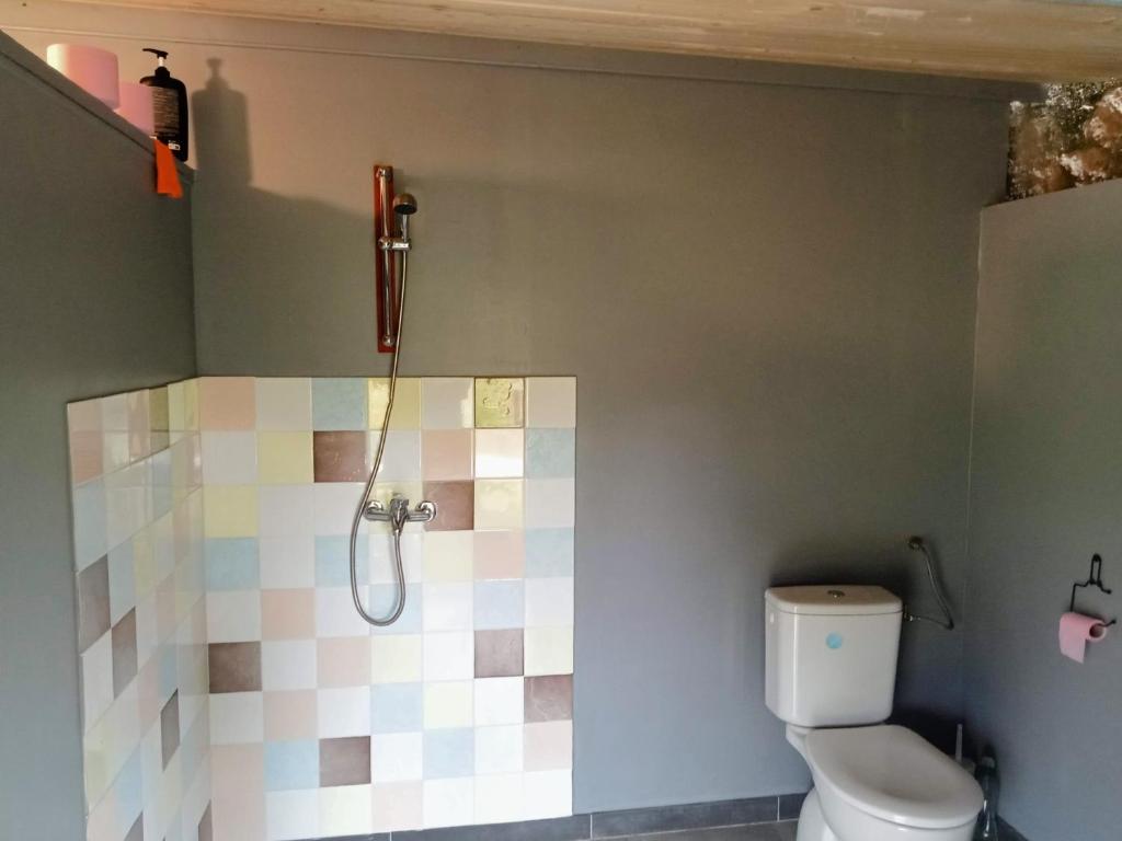 une salle de bain avec douche et toilettes dans l'établissement Safaripod Les Pourettes, à Feusines