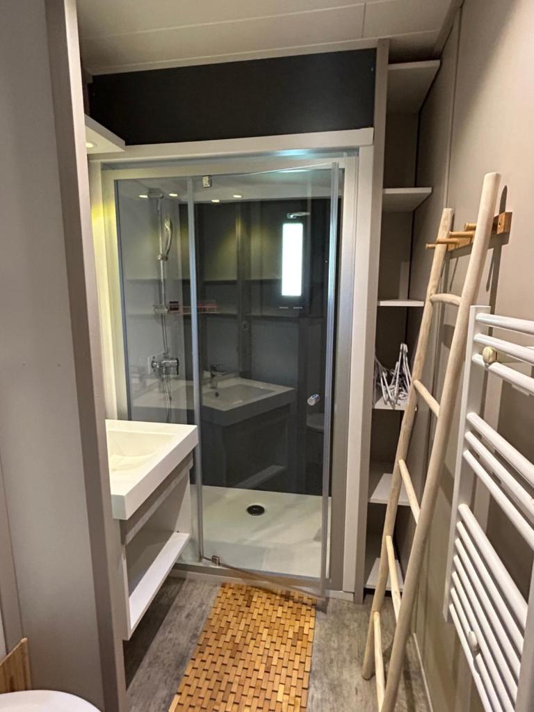 une salle de bain avec une douche en verre et un lavabo dans l'établissement Domaine Napoléon, à Gap