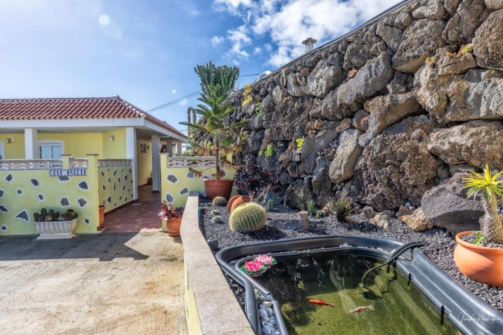 Casa Onelia, 2 bedroom modern oasis, good location 8