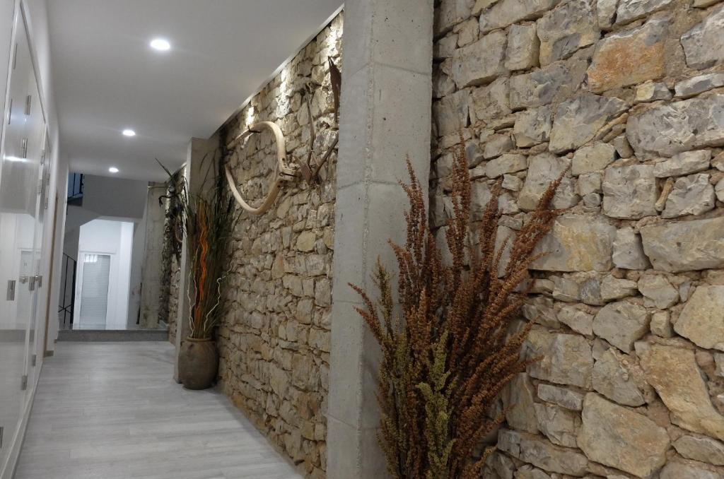 Gegant de Pedra Apartaments 6