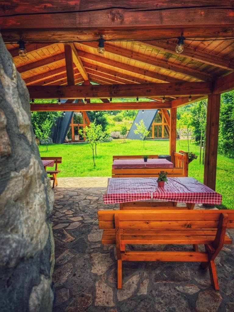 Albero Casa 2