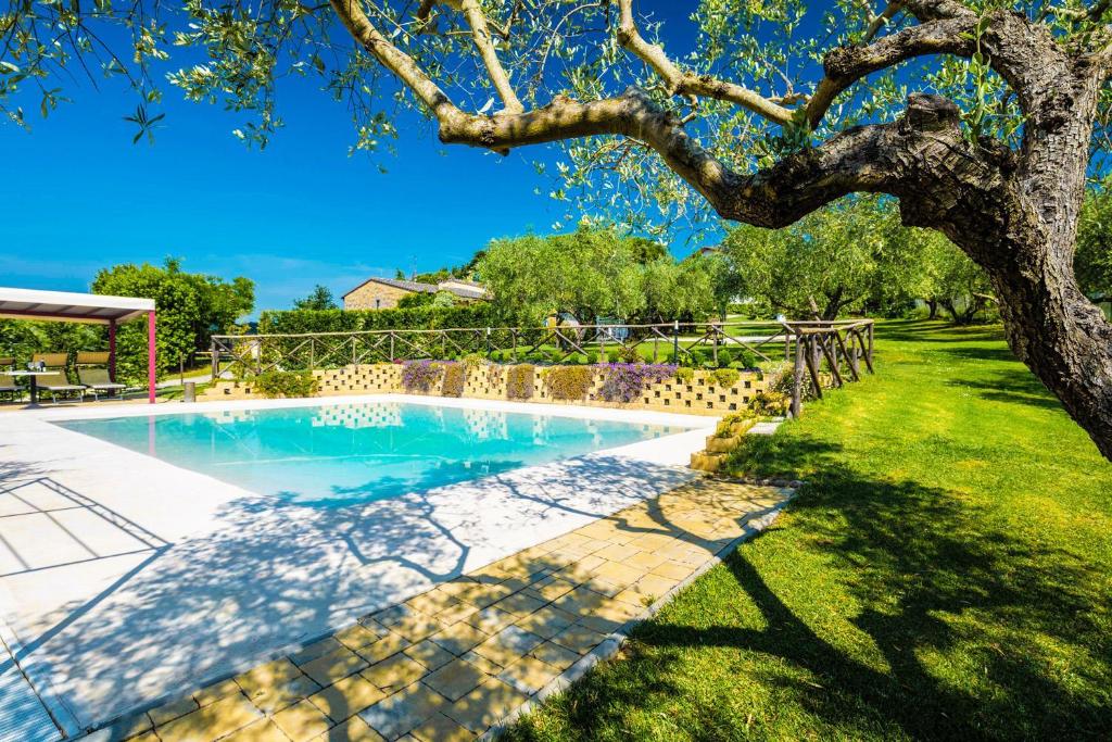 - une piscine dans une cour avec un arbre dans l'établissement La Casa Del Sole, à Casamaggiore