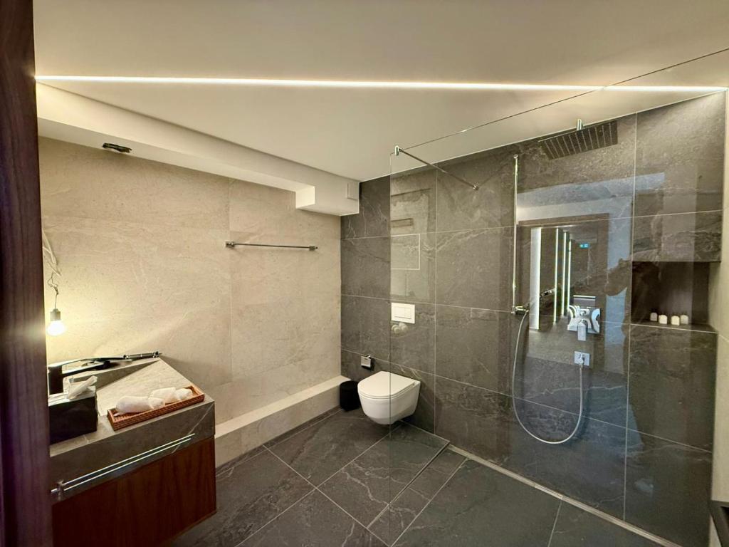 Luxe Living Basel-City 3
