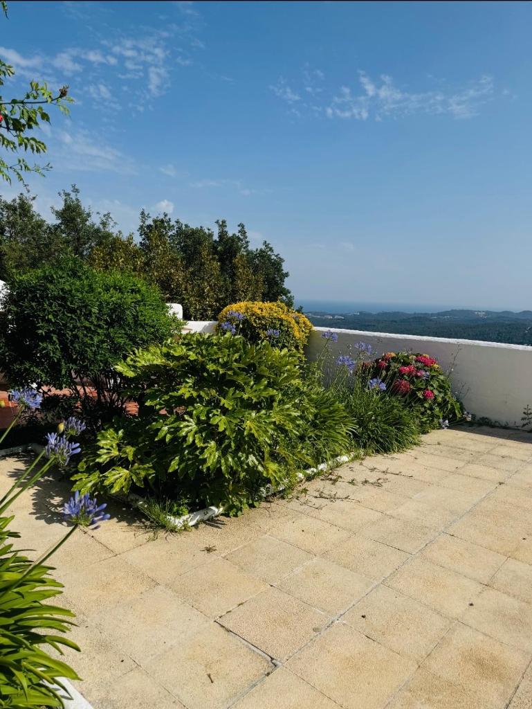 Exclusiva casa con vistas despejadas al mar y piscina privada 5