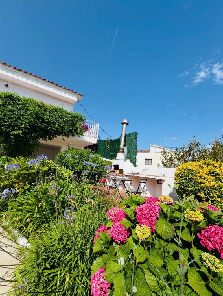 Exclusiva casa con vistas despejadas al mar y piscina privada 4
