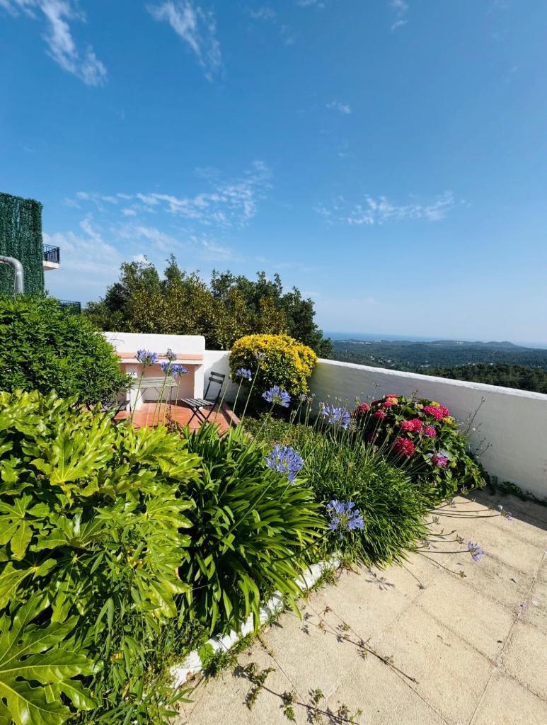 Exclusiva casa con vistas despejadas al mar y piscina privada 3