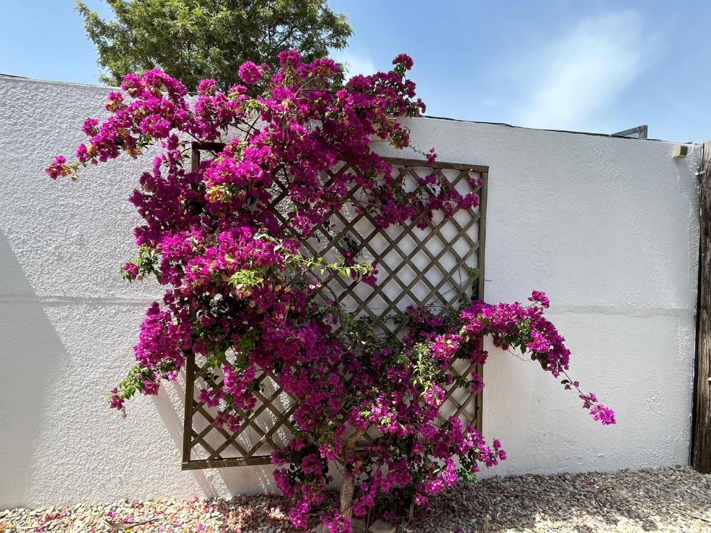 La Cabaña del Lago 6