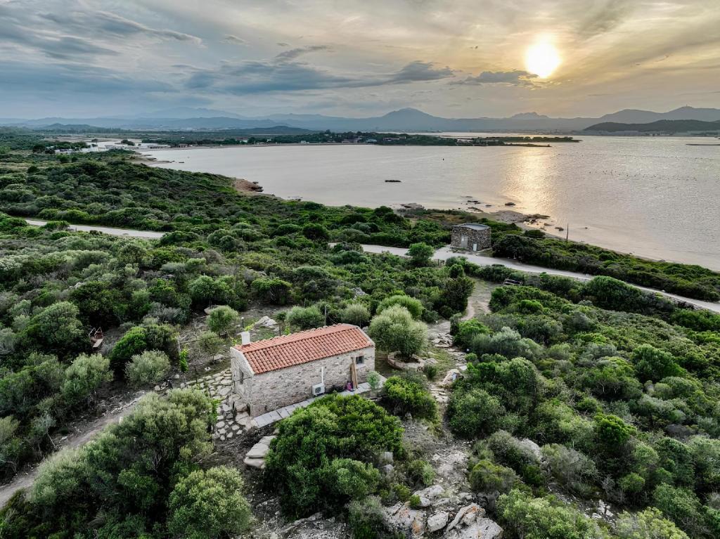 L'isola che non c'è NG Collection