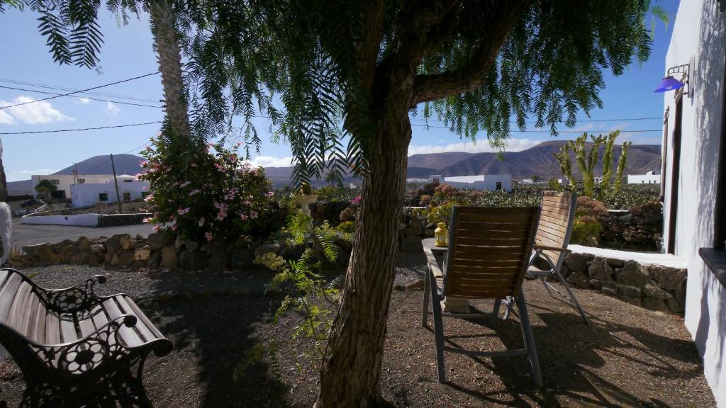 Finca Lanzarosy 7